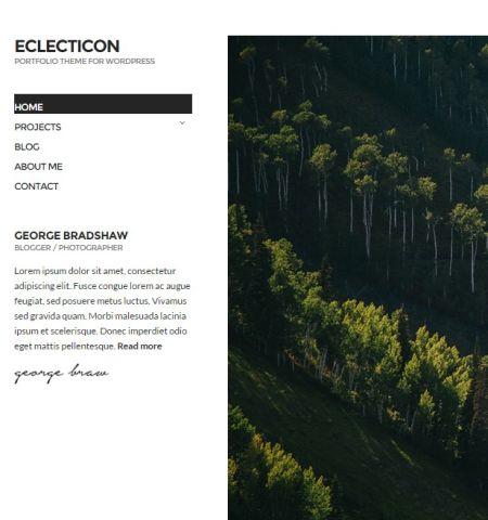 eclection-WP-theme
